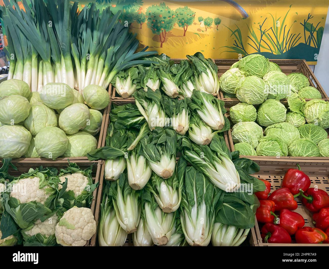 Verdure sugli scaffali dei supermercati, panoramica dei costi di cavoli, porri, peperoni e strutto, vista dall'alto Foto Stock