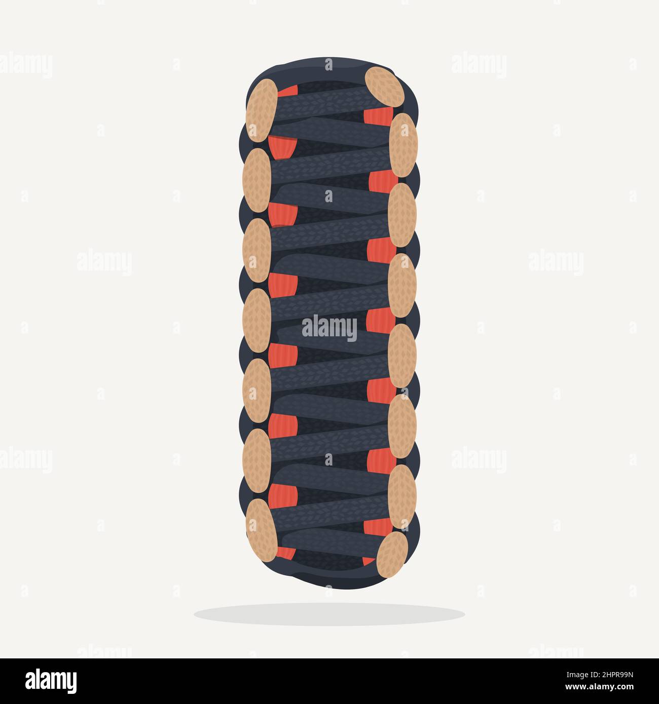 Braccialetto Paracord Illustrazione Vettoriale