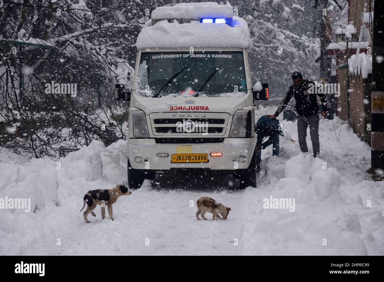 Kashmir, India , 23/02/2022, Srinagar, India. 23rd Feb 2022. Un'ambulanza è visto bloccato su una strada coperta di neve durante le nevicate pesanti in Srinagar.la valle del Kashmir il mercoledì mattina svegliato ad una coperta pesante di nevicate che hanno interrotto la vita normale della gente. Le operazioni di volo, il trasporto di superficie e le attività di routine della vita si sono arrestate. Credit: SOPA Images Limited/Alamy Live News Foto Stock