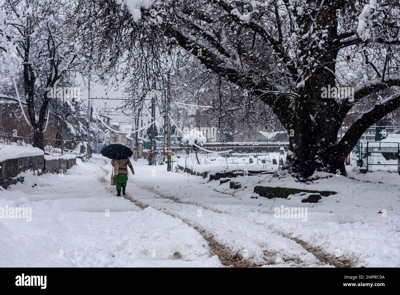 Kashmir, India , 23/02/2022, Srinagar, India. 23rd Feb 2022. Una donna tiene un ombrello mentre cammina attraverso una strada coperta di neve durante la nevicata pesante in Srinagar.The valle del Kashmir il mercoledì mattina svegliato ad una coperta pesante di nevicata che ha interrotto la vita normale della gente. Le operazioni di volo, il trasporto di superficie e le attività di routine della vita si sono arrestate. Credit: SOPA Images Limited/Alamy Live News Foto Stock