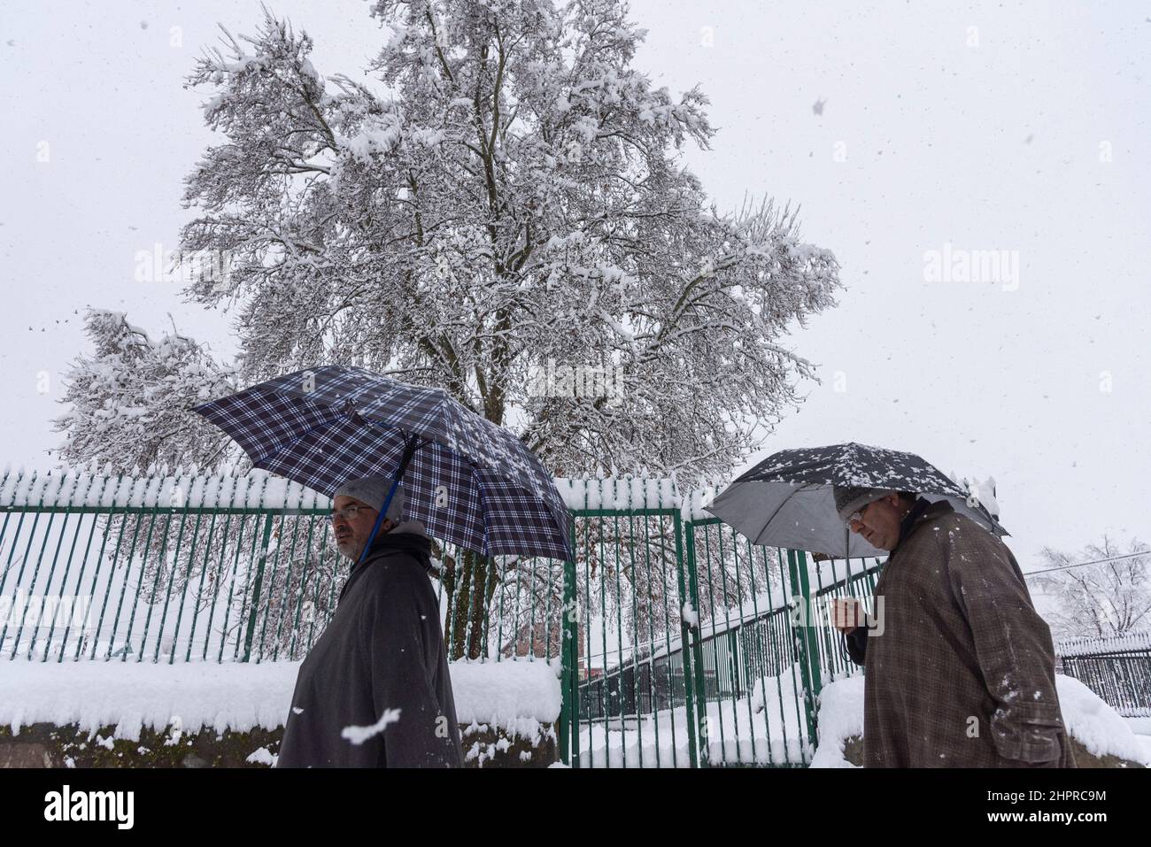 Kashmir, India , 23/02/2022, Srinagar, India. 23rd Feb 2022. I residenti tengono gli ombrelloni mentre camminano attraverso una strada coperta di neve durante la nevicata pesante in Srinagar.The valle del Kashmir il mercoledì mattina svegliato ad una coperta pesante di nevicate che ha interrotto la vita normale delle persone. Le operazioni di volo, il trasporto di superficie e le attività di routine della vita si sono arrestate. Credit: SOPA Images Limited/Alamy Live News Foto Stock