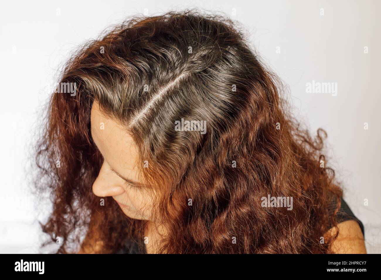 Primo piano della giovane donna caucasica che gradisca le radici dei capelli su sfondo bianco. Radici rigenerate che hanno bisogno di essere ricolorate. Cura di sé anti età. Spazio di copia Foto Stock