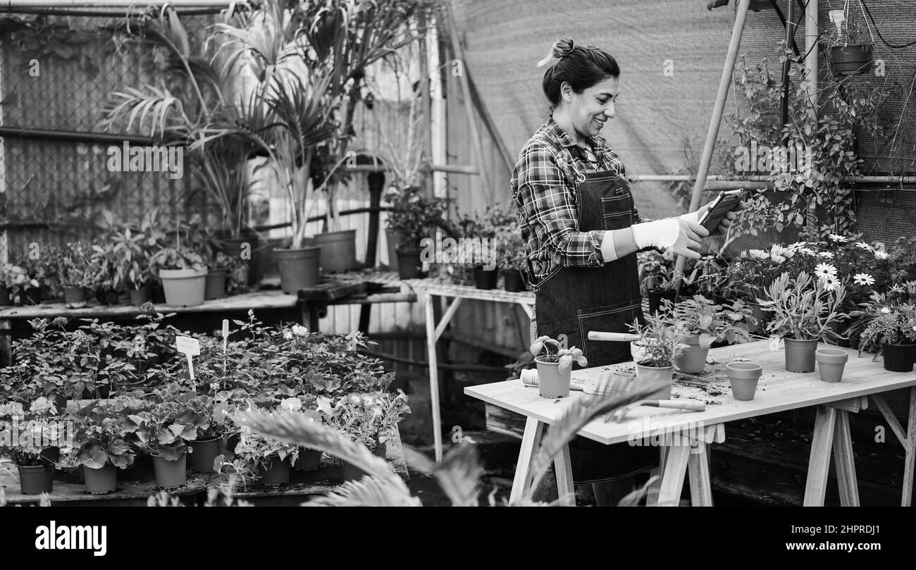 Felice donna latina che lavora all'interno del giardino serra - Focus on Face - edizione in bianco e nero Foto Stock