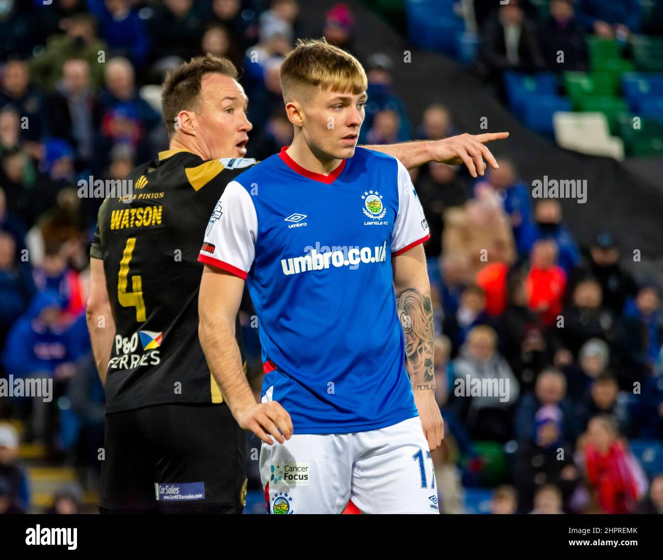 Chris McKee - Linfield Vs Larne in the Danske Bank Premiership, martedì 8th febbraio 2022 a Windsor Park, Belfast. Foto Stock