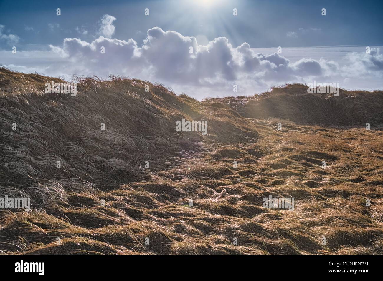 Dune vicino a Lild e Bulbjerg sulla costa del Mare del Nord in Danimarca Foto Stock