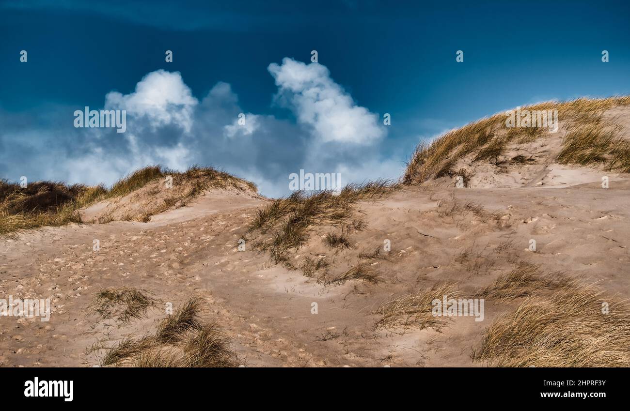 Dune vicino a Lild e Bulbjerg sulla costa del Mare del Nord in Danimarca Foto Stock