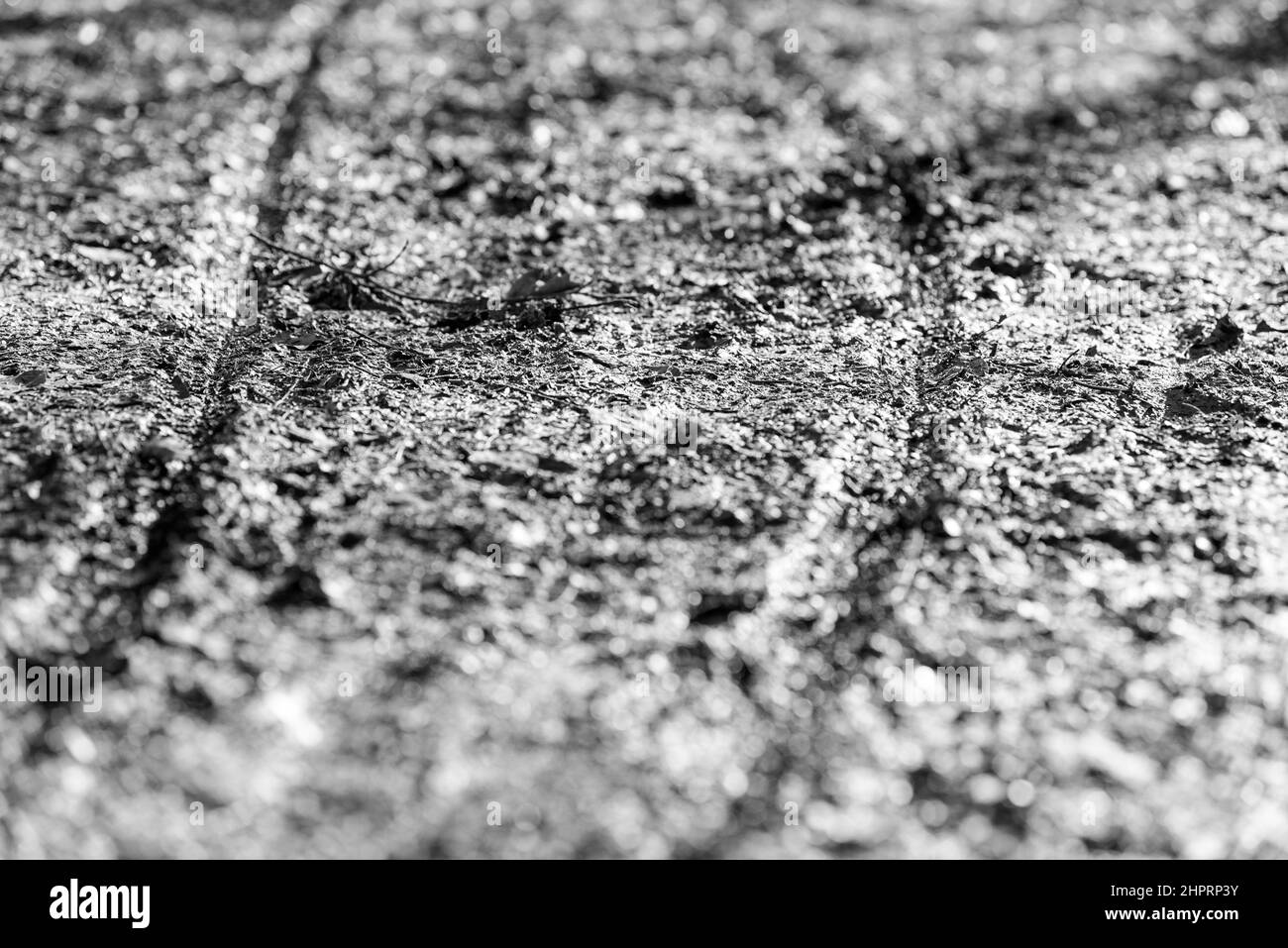 Primo piano in bianco e nero per le piste di pneumatici da bicicletta sul fondo fangoso della foresta Foto Stock