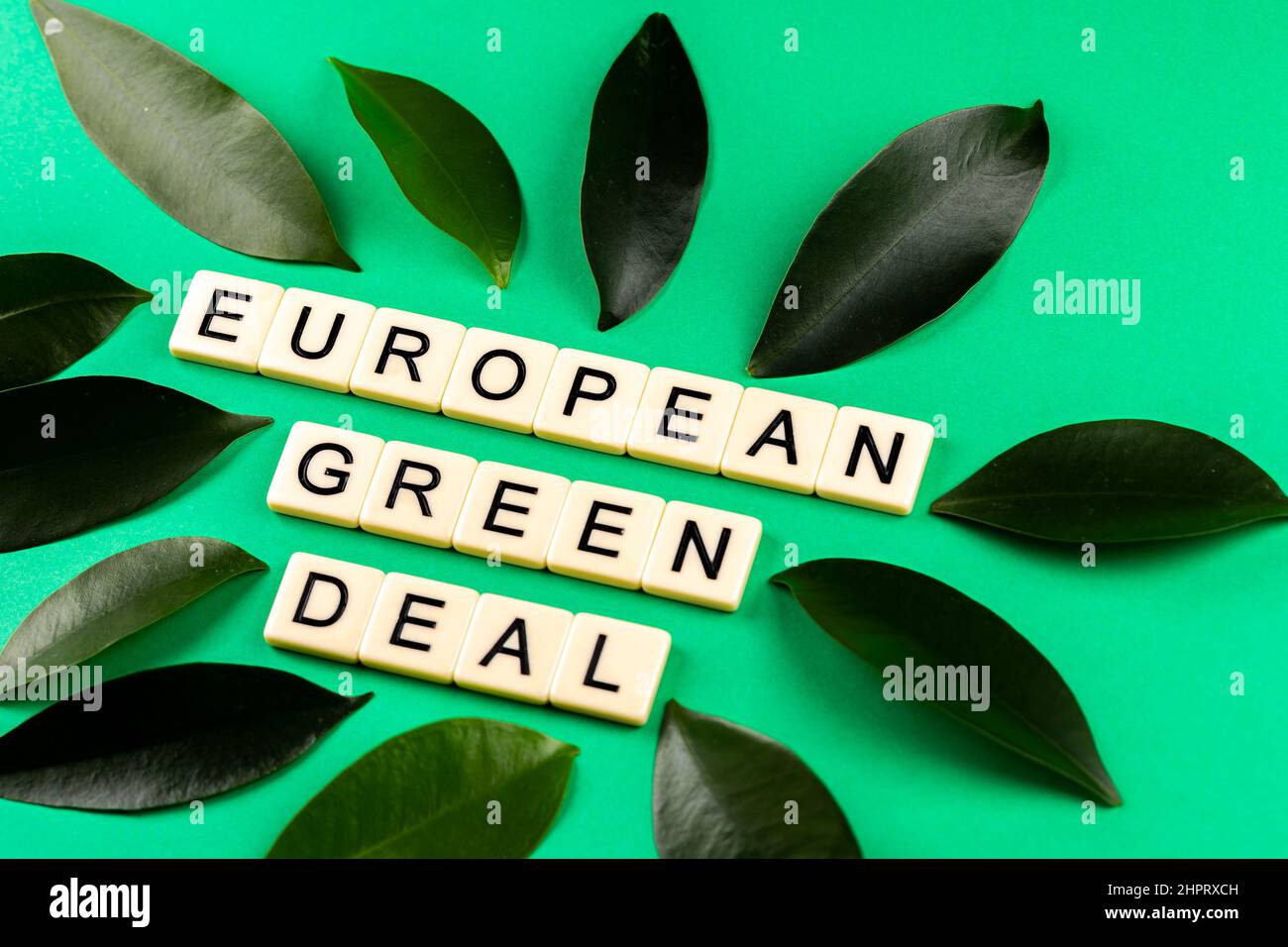 Frase "European Green Deal" composta da lettere poste su sfondo verde con laves verdi. Foto scattata sotto luce artificiale e soffusa Foto Stock