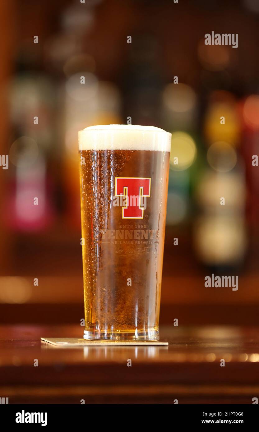 Una pinta di Tennents lager in un bicchiere su un pub bar Foto Stock