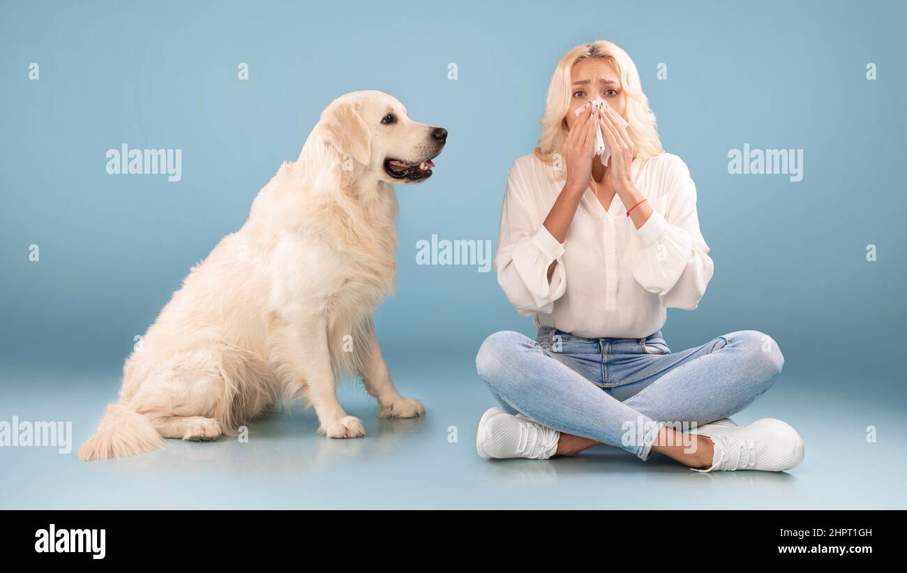 Allergia animale. Donna starnutita, affetta da congestione nasale Foto Stock