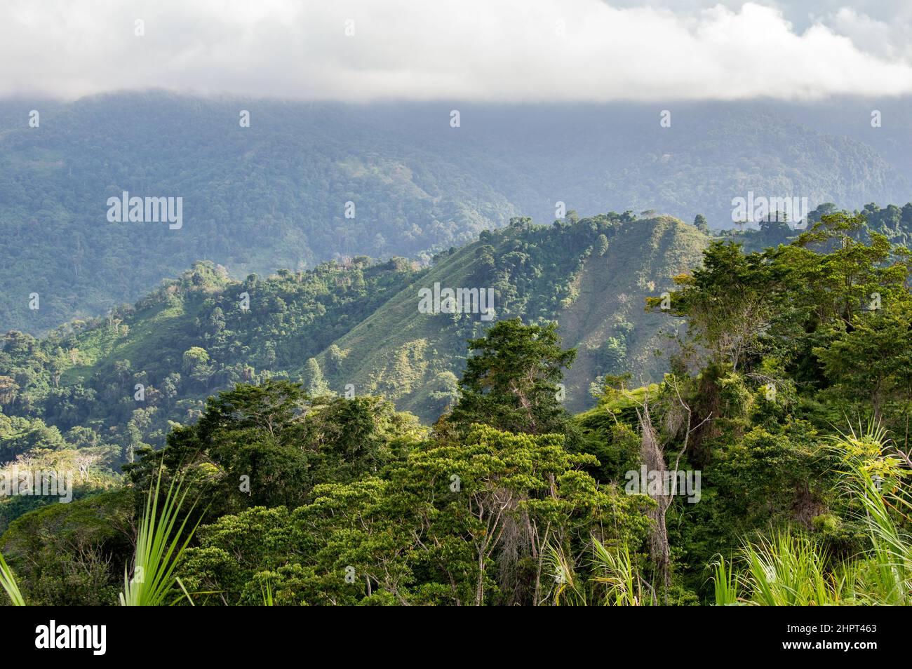 Una vista del paesaggio della giungla della Sierra Nevada de Santa Marta catena montuosa vicino alla Città perduta / Ciudad Perdida in Colombia Foto Stock