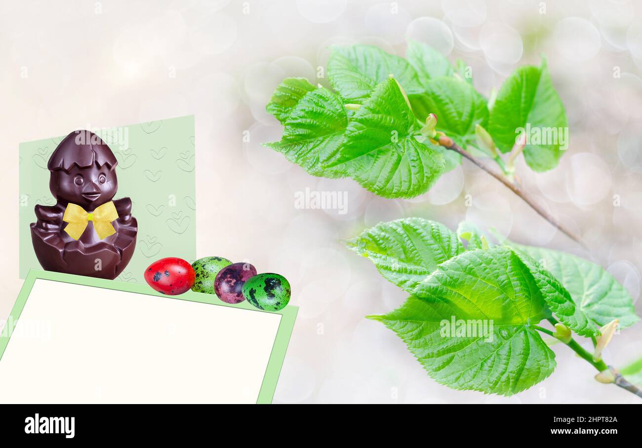 Pollo pasquale al cioccolato, cornice di testo e uova colorate di quaglia su uno sfondo primavera sfocato con foglie di tiglio giovane. Felice Pasqua concetto Foto Stock