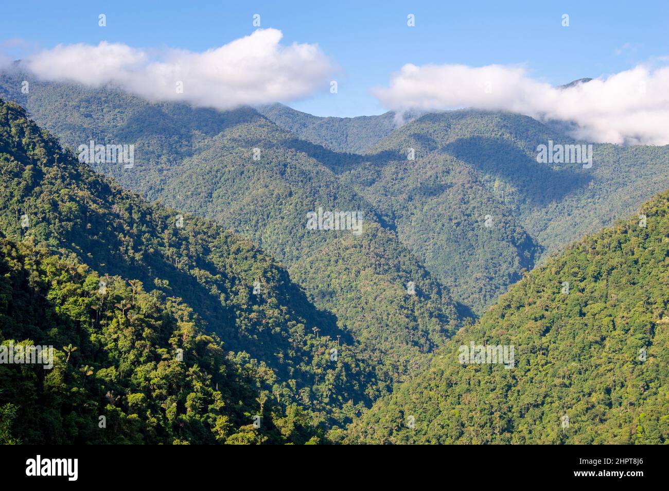 Una vista del paesaggio della giungla della Sierra Nevada de Santa Marta catena montuosa vicino alla Città perduta / Ciudad Perdida in Colombia Foto Stock