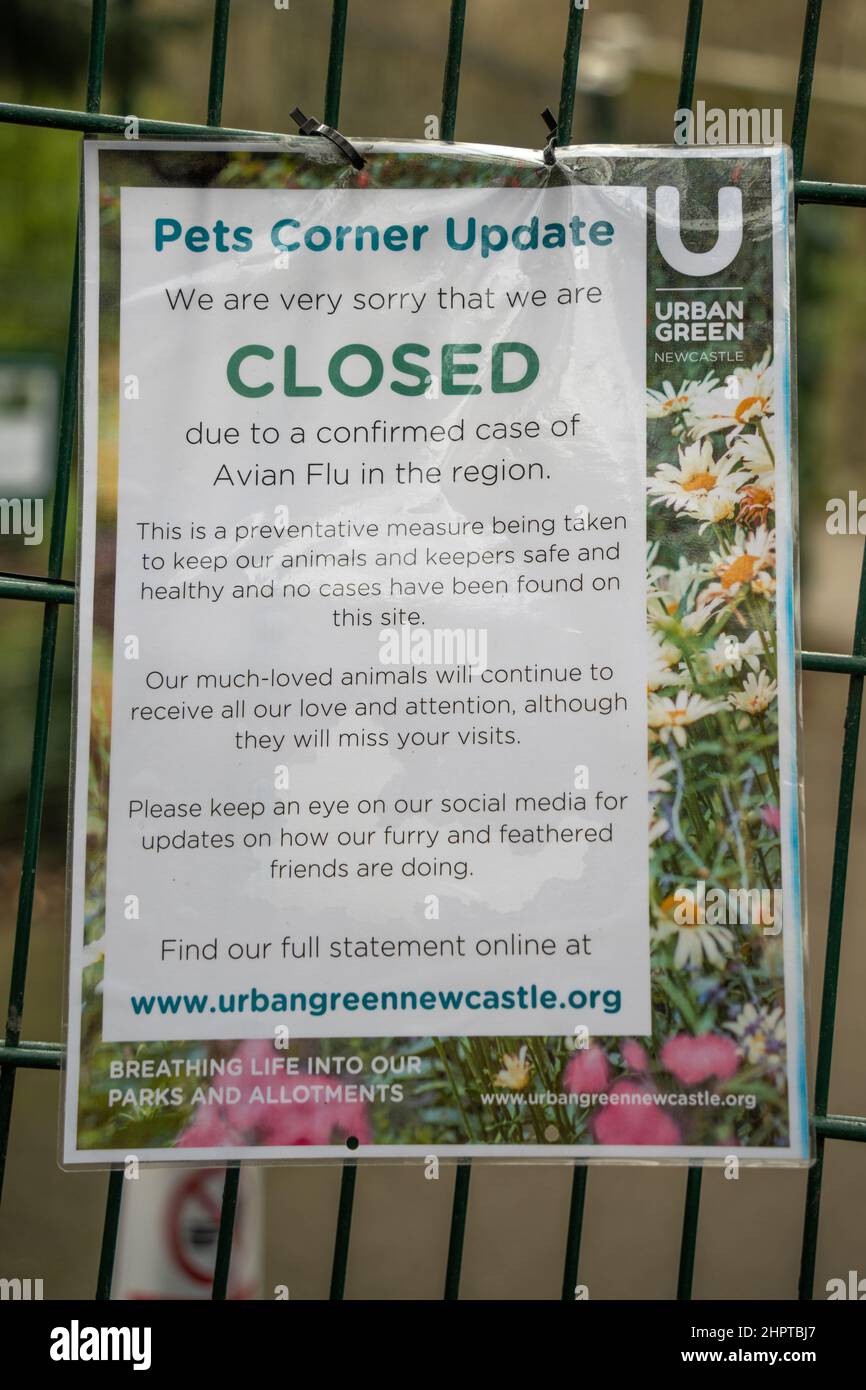 Un cartello al Pets Corner, Jesmond, Newcastle upon Tyne, UK spiega la sua chiusura a causa dell'influenza aviaria. Foto Stock