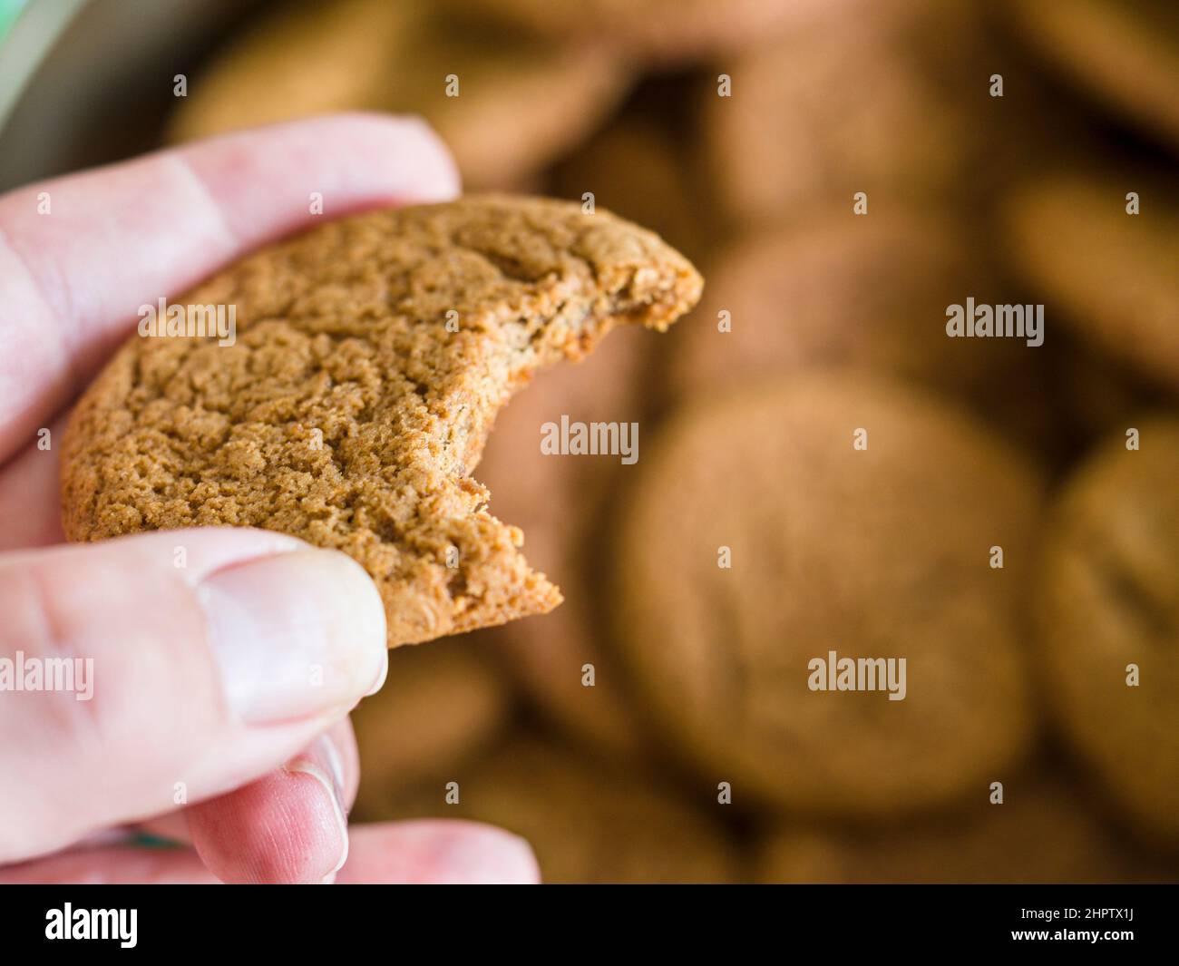 Prova di gusto dei biscotti zenzero a scatto: Un uomo tiene un singolo biscotto caserma di ginersnap sopra una scatola di loro. C'è un colpo fuori del biscotto, finora. Foto Stock