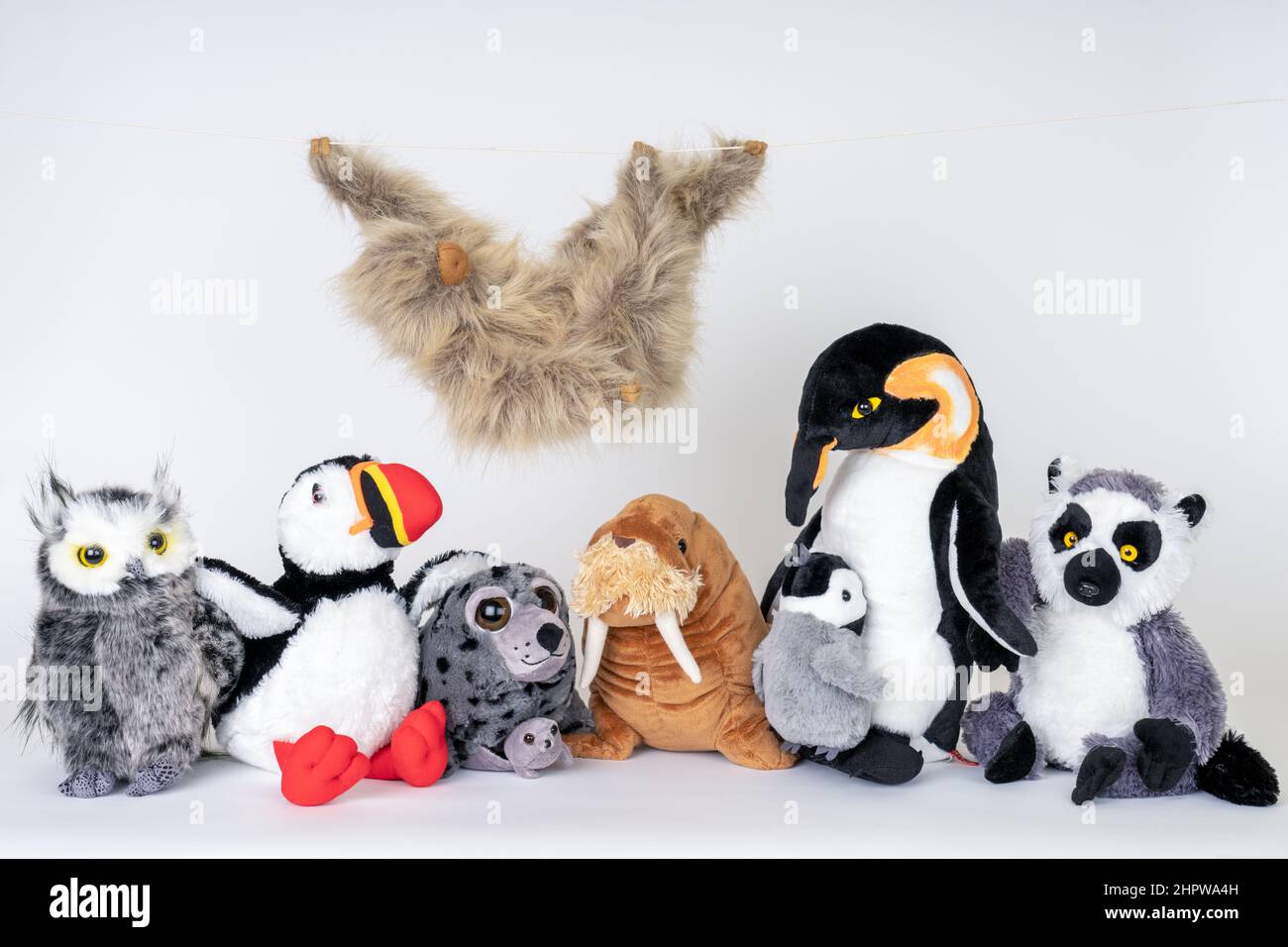 Amici animali ripieni: Gufo grande, Puffin Atlantico, foche del Porto, pinguini imperatore, Lemur con coda ad anello e Sloth con due punte Foto Stock