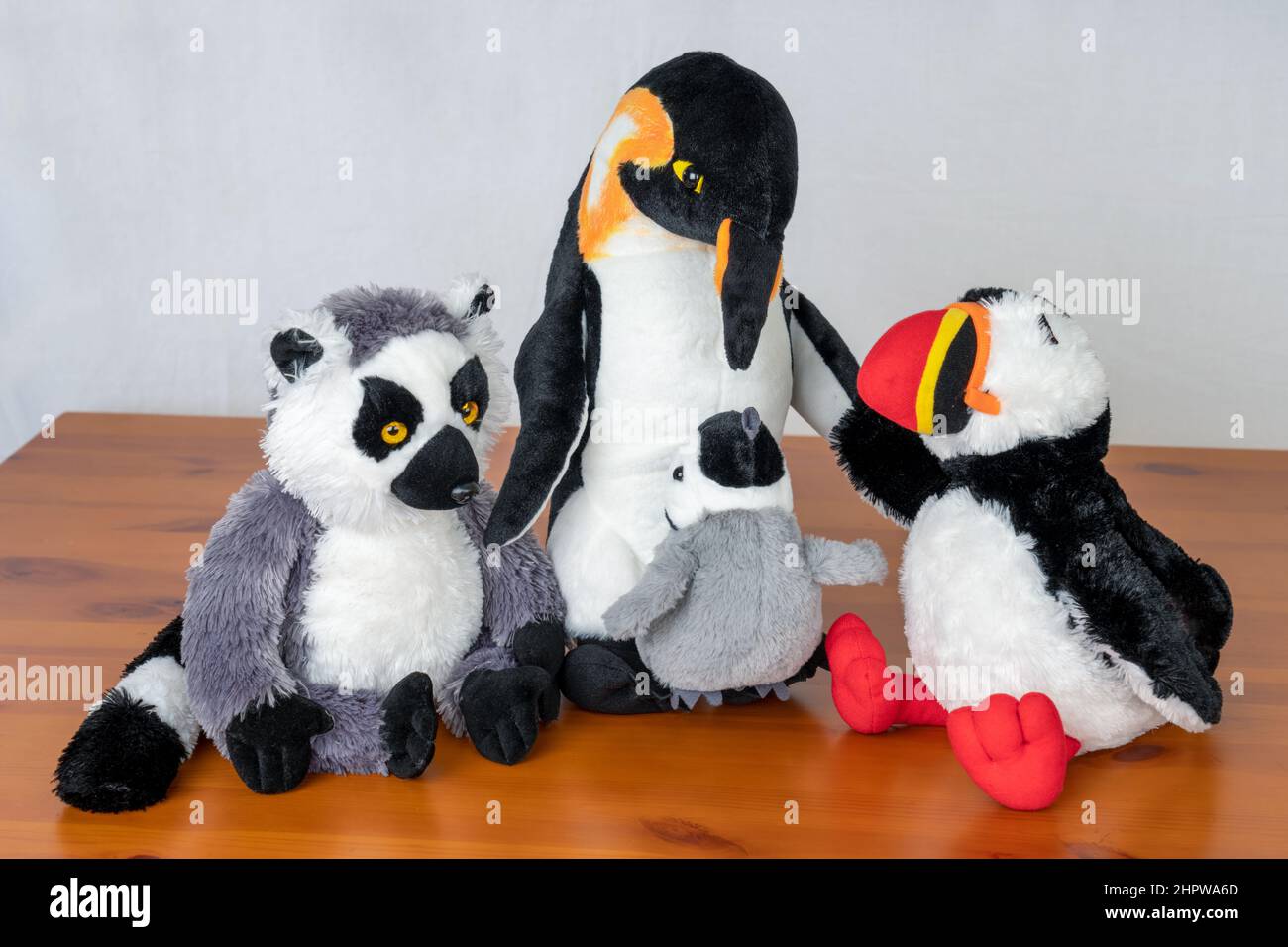 Tre varietà di animali ripieni: Lemur con coda ad anello, Pinguini Imperatori e Puffin Atlantico su un tavolo con uno sfondo bianco senza giunture Foto Stock