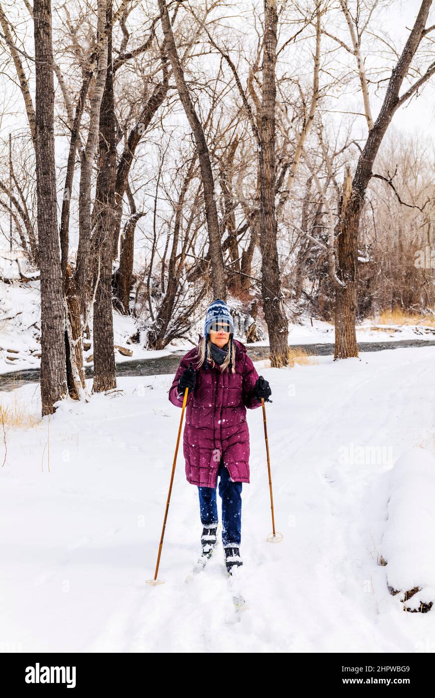 Donna anziana sci di fondo nella tempesta di neve fresca; Vandaveer Ranch; Salida; Colorado; USA Foto Stock