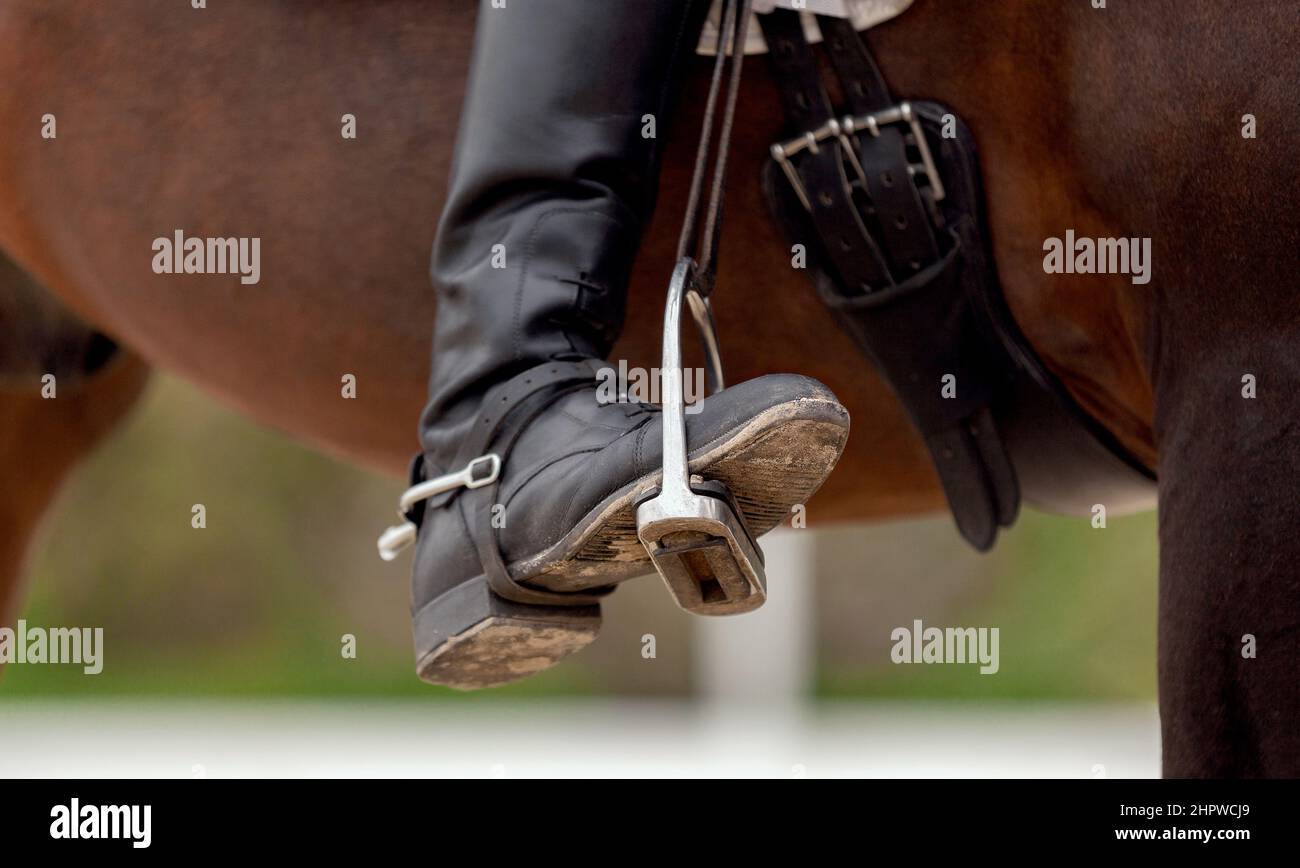 Il piede del cavaliere, seduto su un cavallo rosso, in uno scarpone nero con uno sperone, poggia su una staffa metallica. Primo piano. Concorso equestre show Foto Stock