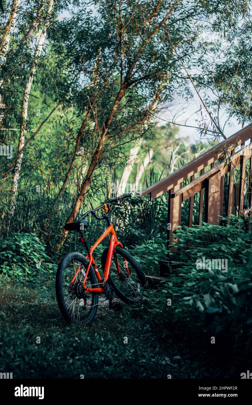 Bicicletta da montagna arancione in un lussureggiante ambiente boschivo Foto Stock