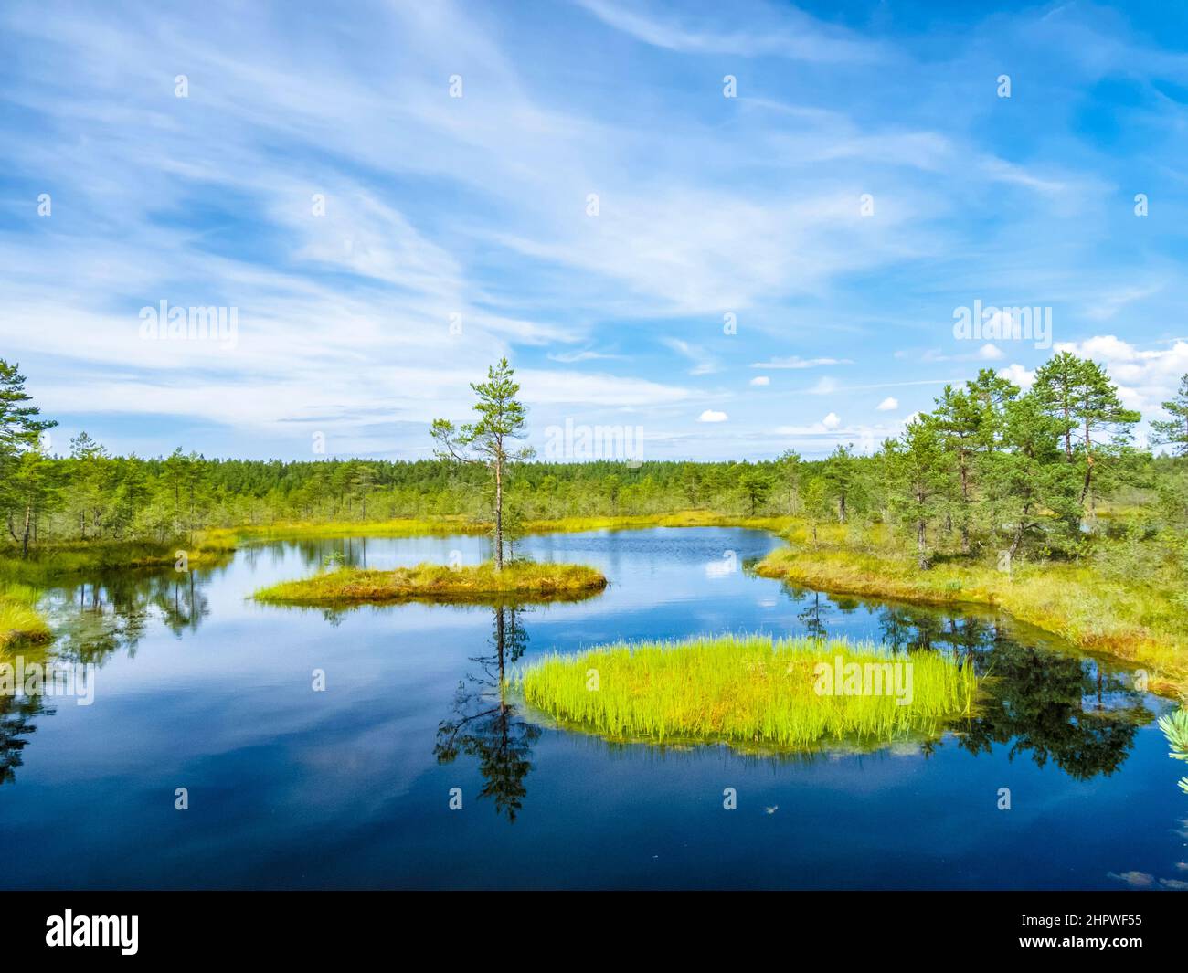 paesaggio del lago vicino Tallinn Foto Stock