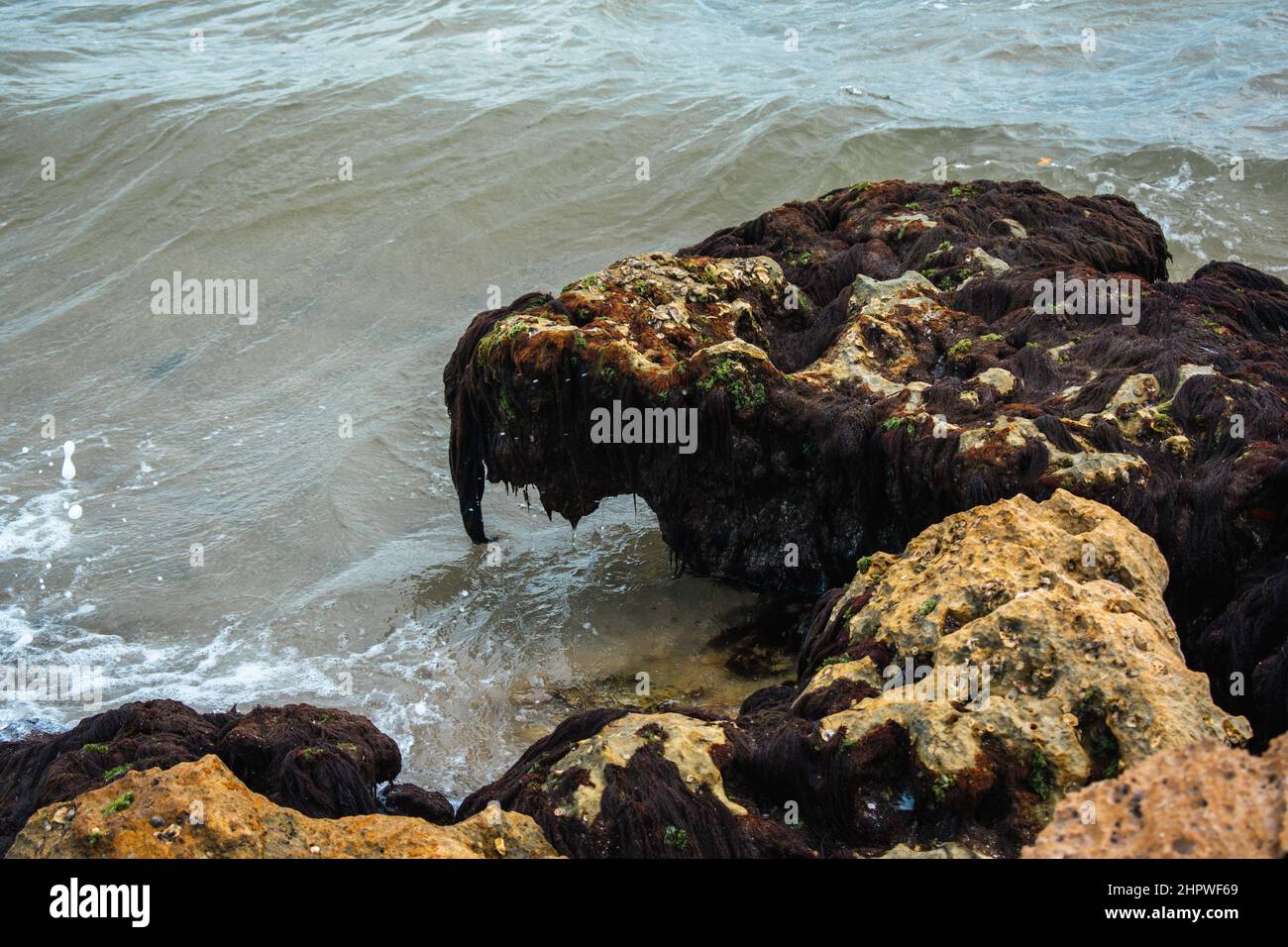 Rocce di Mossy lungo la costa che incontra il bordo dell'acqua Foto Stock