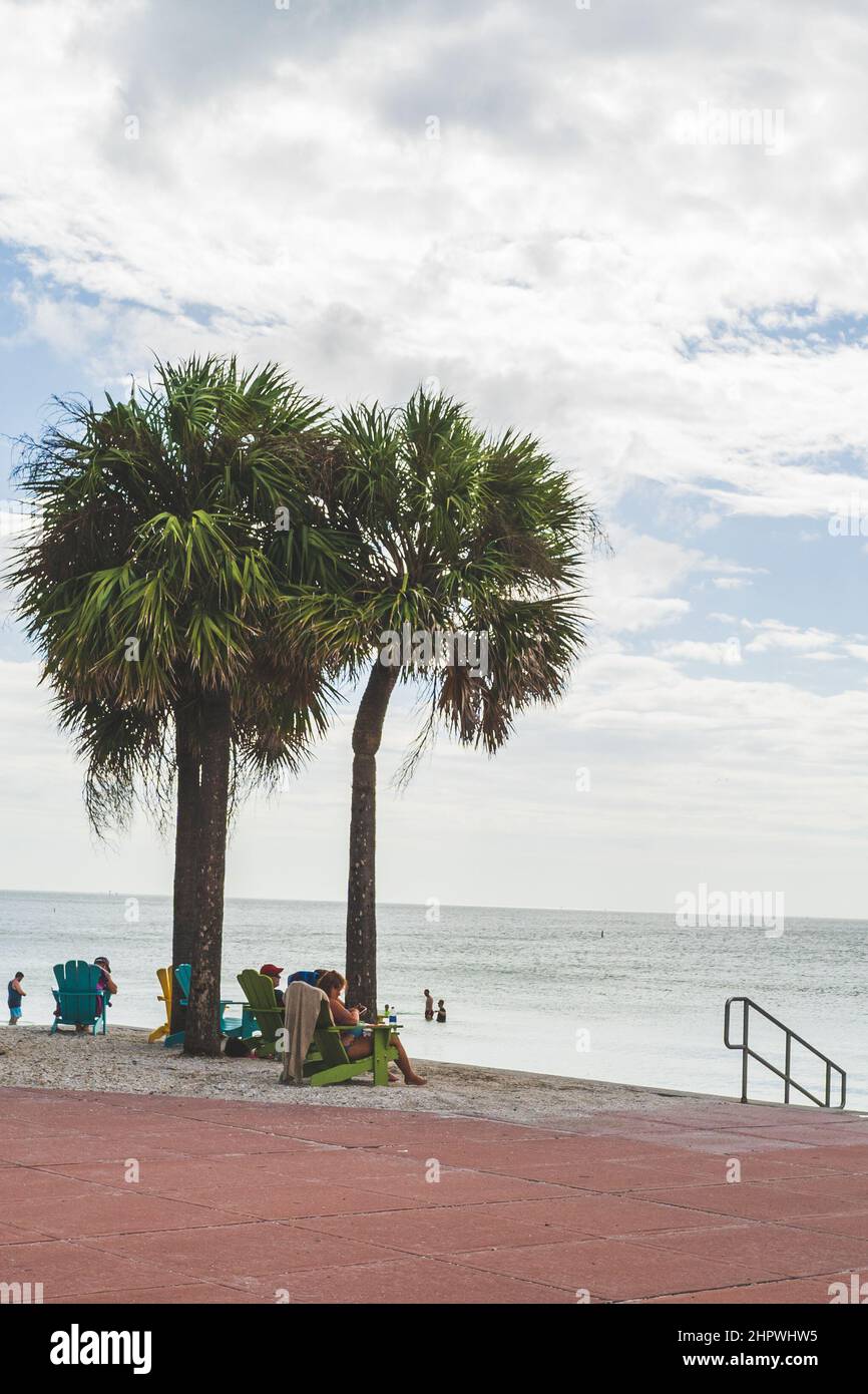la gente gode della vista dell'oceano sotto le palme in sedie da spiaggia Foto Stock