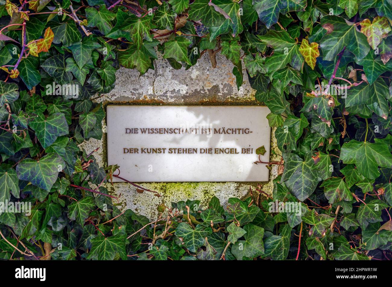 Detto coperto da Ivy, la scienza è potente - gli angeli stand by arte nel castello dal 1631, Isny, Allgaeu, Baviera, Germania Foto Stock