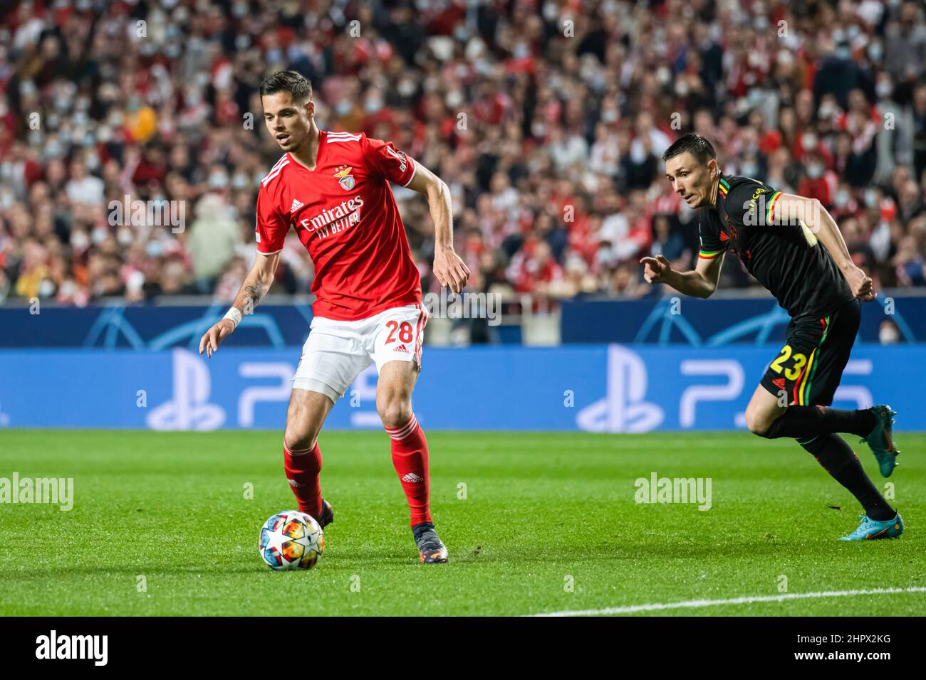 Lisbona, Portogallo. 23rd Feb 2022. Julian Weigl di Benfica (L) e Steven Berghuis di Ajax (R) in azione durante la partita UEFA Champions League tra SL Benfica e AFC Ajax allo stadio Estadio da Luz. Punteggio finale; SL Benfica 2:2 AFC Ajax. Credit: SOPA Images Limited/Alamy Live News Foto Stock