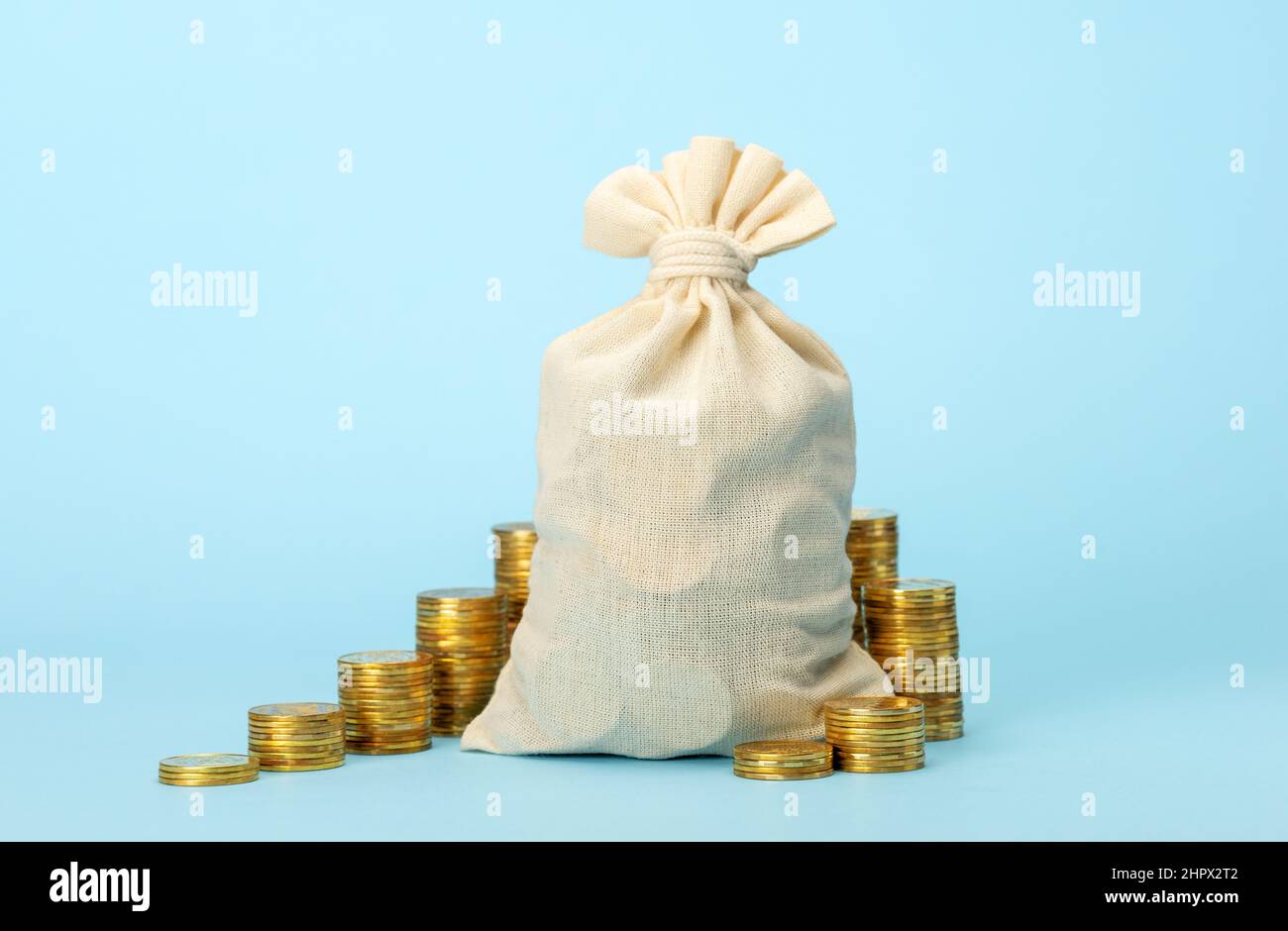 La borsa di soldi e le monete si scalano su uno sfondo blu. Modello di simulazione Foto Stock