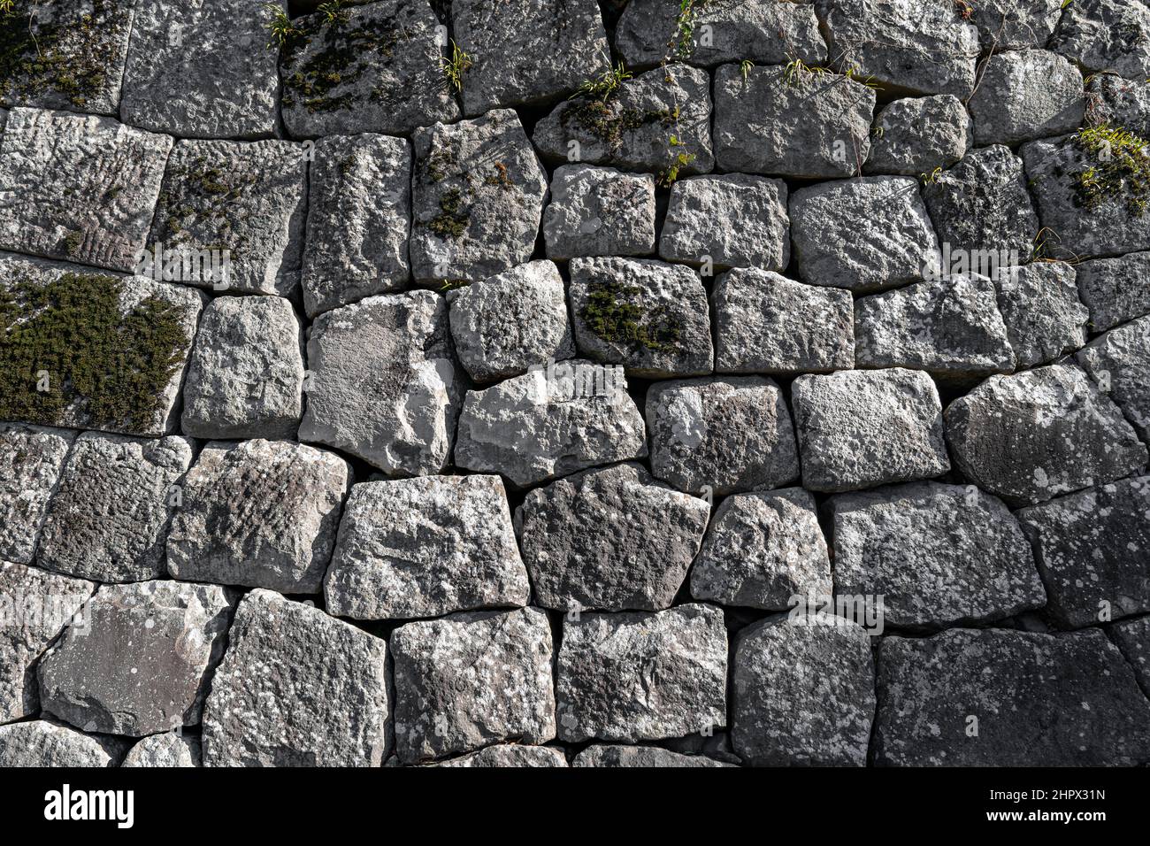 Vecchio muro in pietra a forma di mosaico con funghi e colore grigio Foto Stock