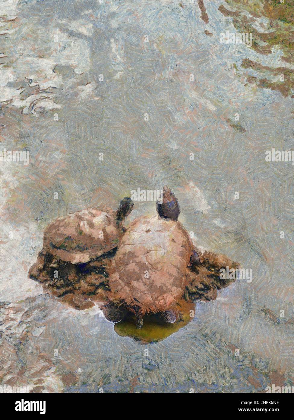 Spazzolatura digitale di due tartarughe rilassarsi su una roccia circondata da acqua di ondulazione in un laghetto. Foto Stock