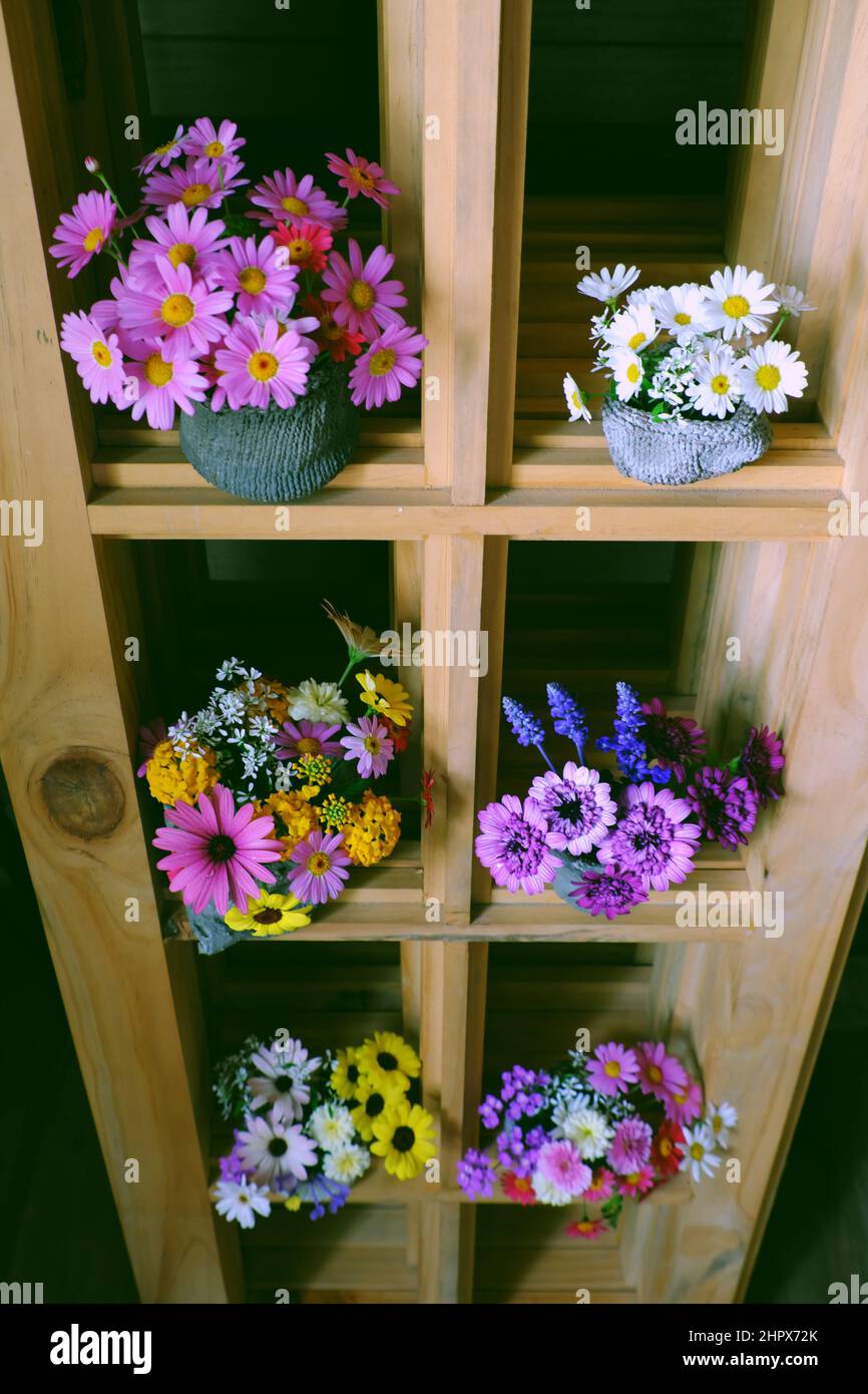 Gruppo di vasi di fiori colorati su mensole di legno per l'arredamento della casa, molti margherita così bella fioritura vibrante, romantica decorazione dello spazio in primavera Foto Stock
