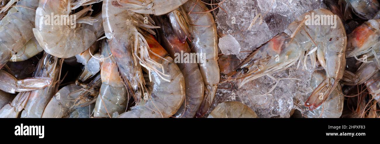 Gamberetti freschi nel mercato del pesce Foto Stock