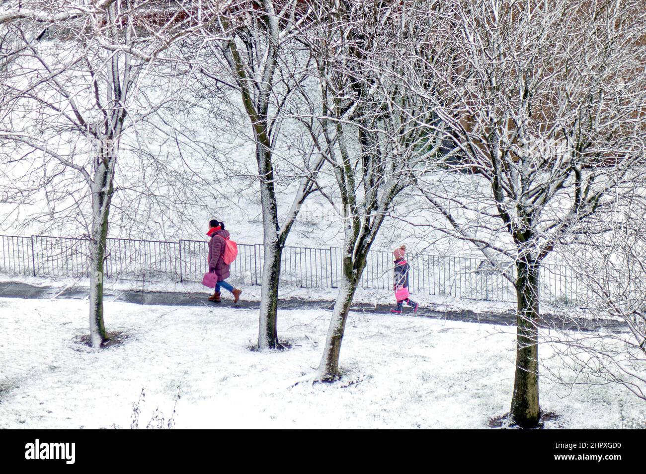 Glasgow, Scozia, Regno Unito 24th febbraio 2022. UK Meteo: : Storm Gladys colpisce con venti e pioggia elevati nella città di ieri girando a nevicata pesante durante la notte che ha visto la gente del posto svegliarsi ad una scena wonderland invernale come la città è coperta di neve. Credit Gerard Ferry/Alamy Live News Foto Stock