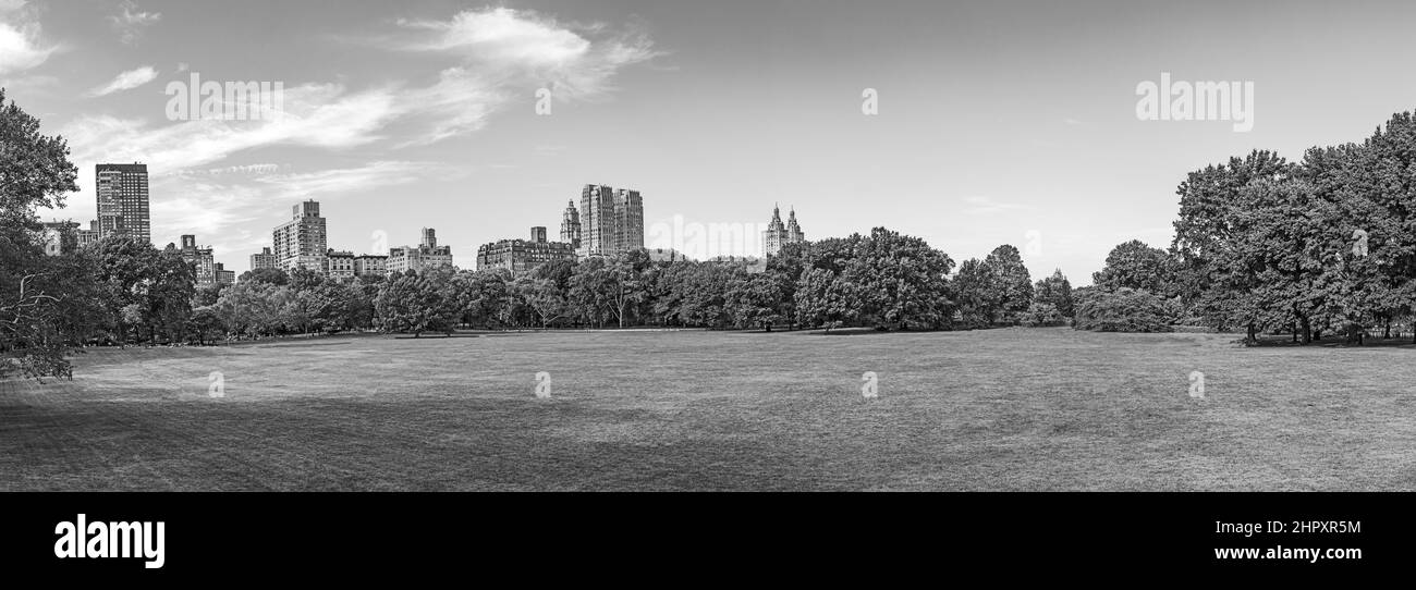 Sheep Meadow al Central Park di New York con skyline, USA Foto Stock