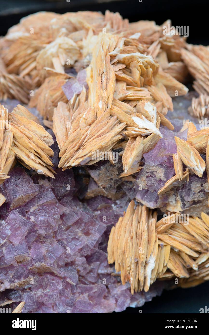 Italia, Sardegna, Flourite su Baryte Foto Stock