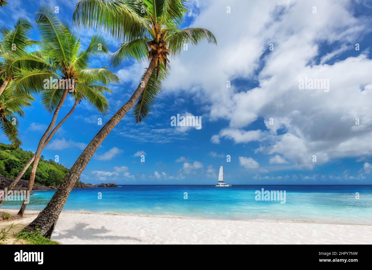 Barca a vela in mare tropicale e palme in isola esotica Foto Stock