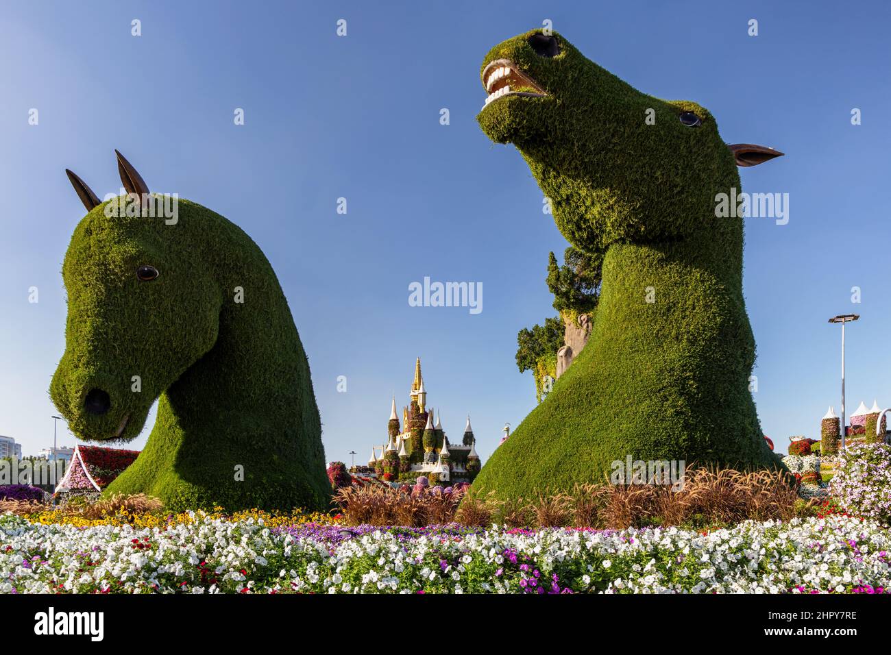 Gigantesche sculture a testa di cavallo ricoperte di piante nel Dubai Miracle Garden. Una suggestiva somiglianza con quelle meravigliose di Falkirk. Foto Stock