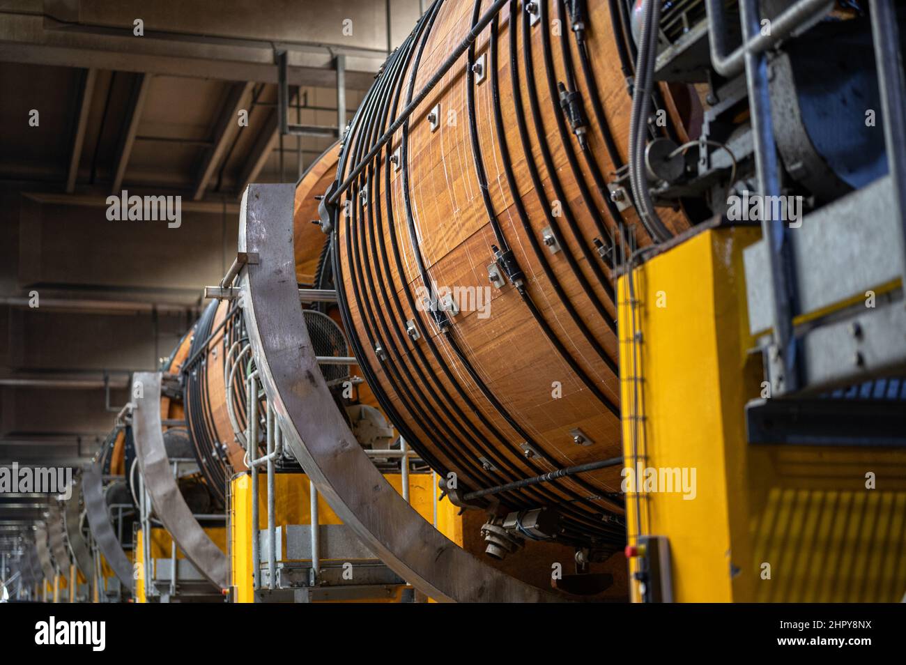 Officina di cuoio. Grandi barili in legno per la concia di cuoio bovino Foto Stock