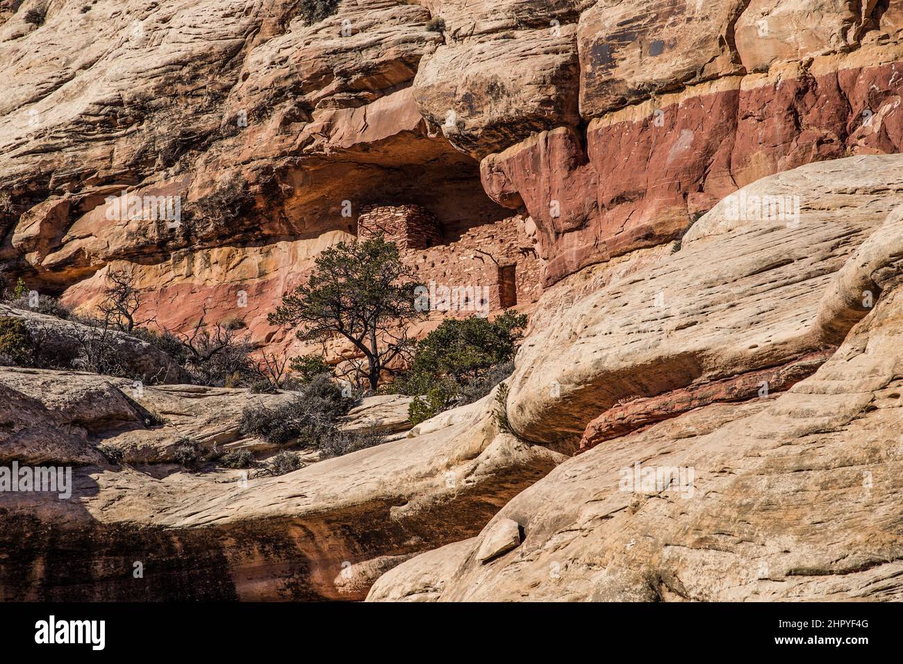 Il Beef Basin Wash Ruin è un'antica scogliera di Puebloan che dimora nel sud-est dello Utah. E 'stato abbandonato circa 800 anni fa. L'originale vibrazione di legno Foto Stock