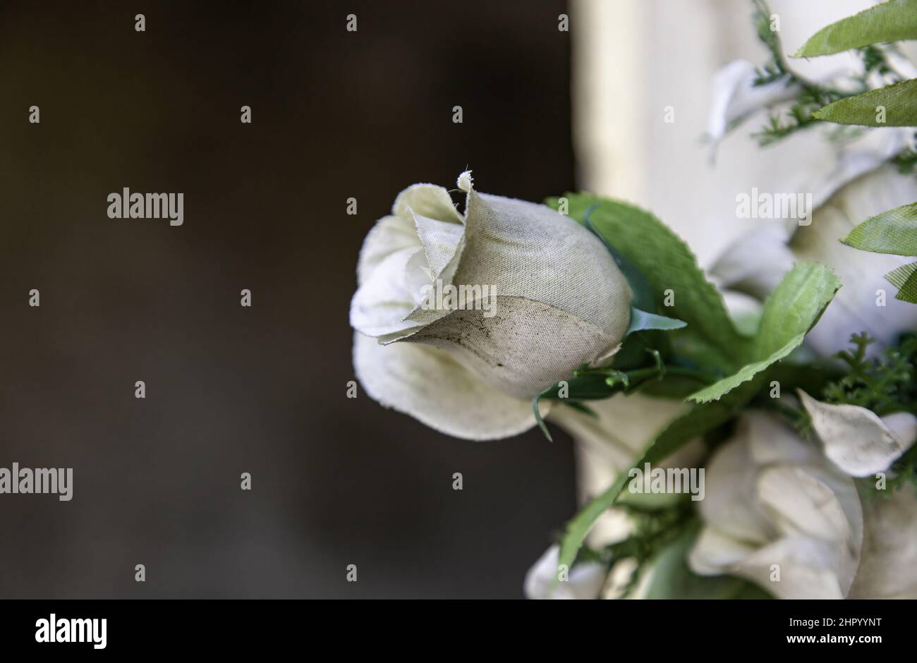 Particolare di fiori per ricordare i morti Foto Stock