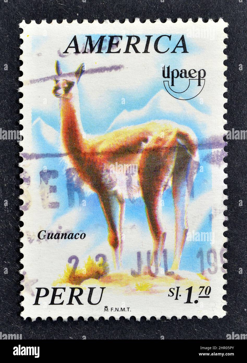 Francobollo cancellato stampato dal Perù, che mostra Guanaco (lama guanicoe), circa 1995. Foto Stock