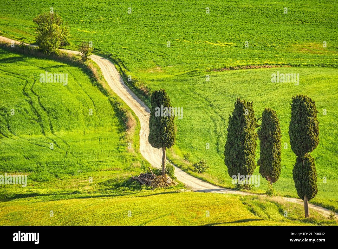 Paesaggio con un sentiero costeggiato da cipressi nei pressi della città di Pienza. Val d'Orcia in Toscana, Italia, Europa. Foto Stock