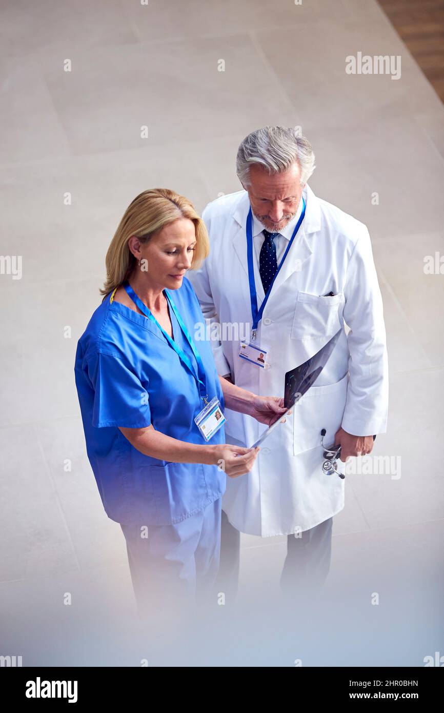 Foto in alto di medico maschile indossando cappotto bianco discutere scansione con collega femminile in scrub Foto Stock