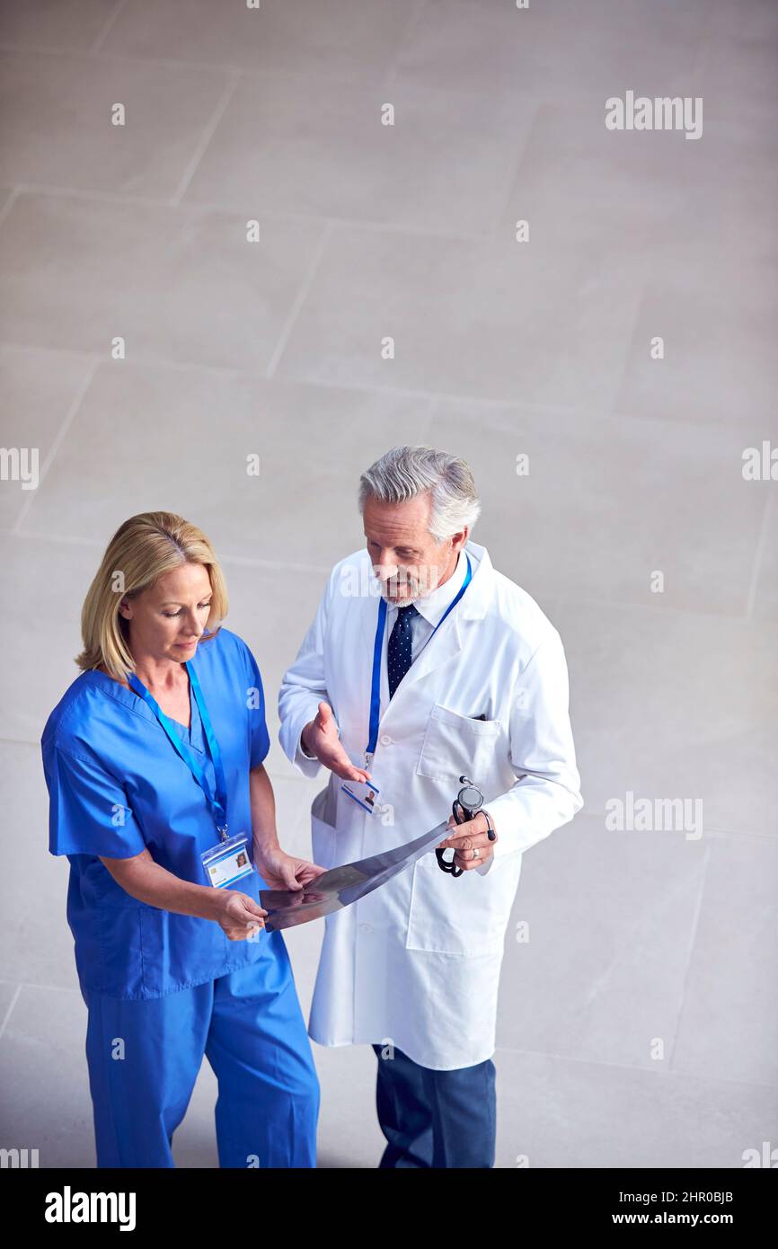 Foto in alto di medico maschile indossando cappotto bianco discutere scansione con collega femminile in scrub Foto Stock