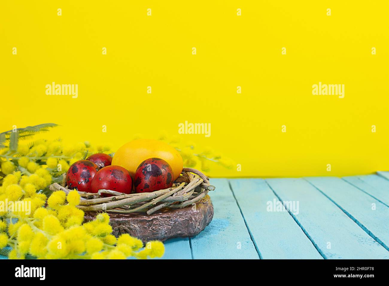 Uova rosse in nido con mimosa. Sfondo giallo con tavole blu. Buona Pasqua. Spazio di copia Foto Stock