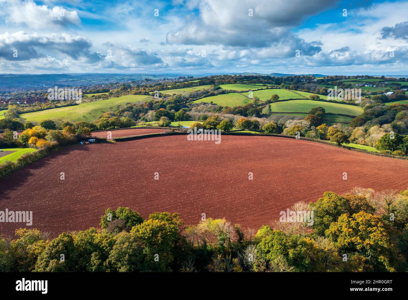 Autunno a Devon vicino a Exeter, Devon, Inghilterra, Regno Unito, Europa Foto Stock