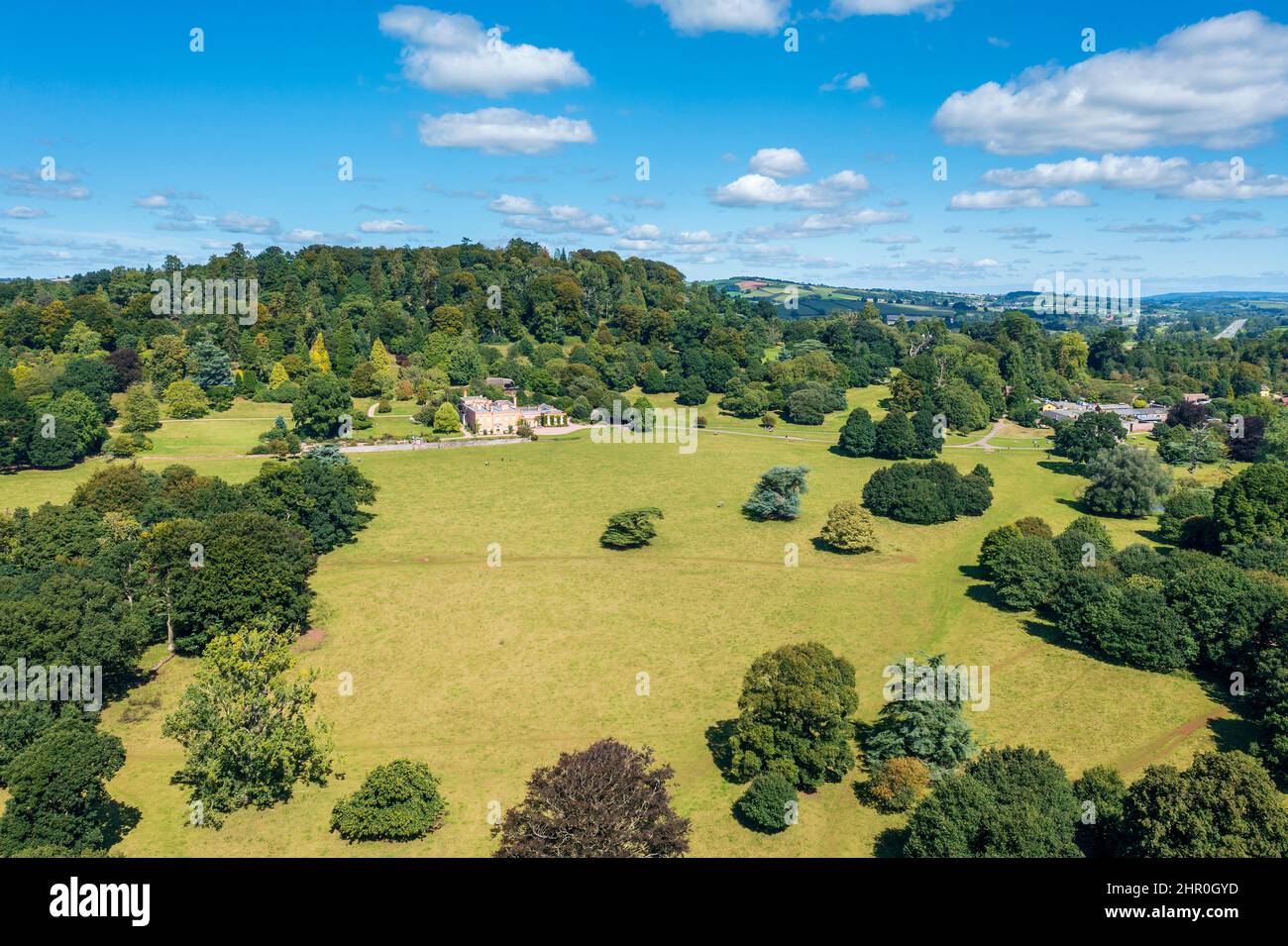 Primavera a Devon vicino a Exeter, Inghilterra, Regno Unito, Europa Foto Stock