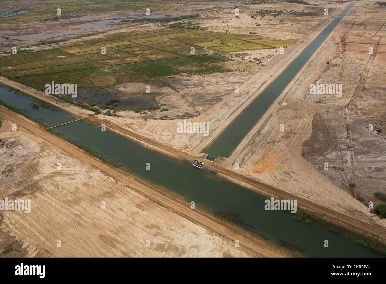 I canali di irrigazione si snodano lungo vasti campi di risaie nel delta del fiume Senegal, nel nord del Senegal, nell'Africa occidentale. Foto Stock